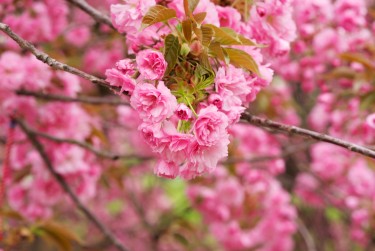 南通如皋5线下个人借款平台一站式服务，轻松解决资金难题