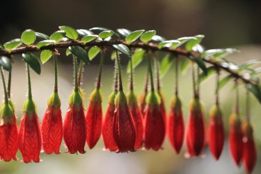 南通如皋5零用贷短借：轻松解决临时资金需求