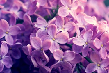 南通如皋5企业急用钱贷款攻略：快速融资解燃眉之急